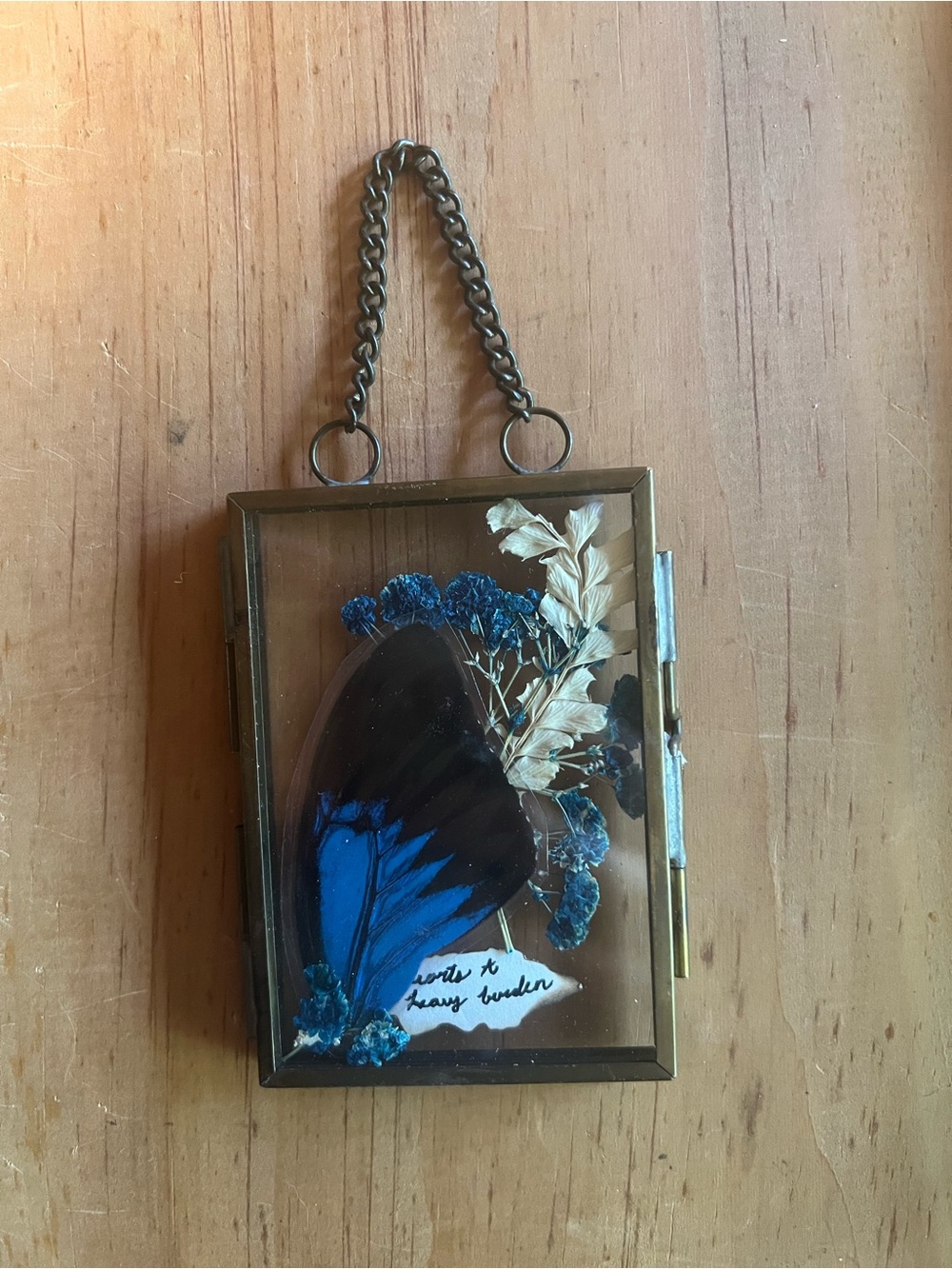 Brass Shadow Box Frame with Blue Butterfly Wing and Dried Blooms